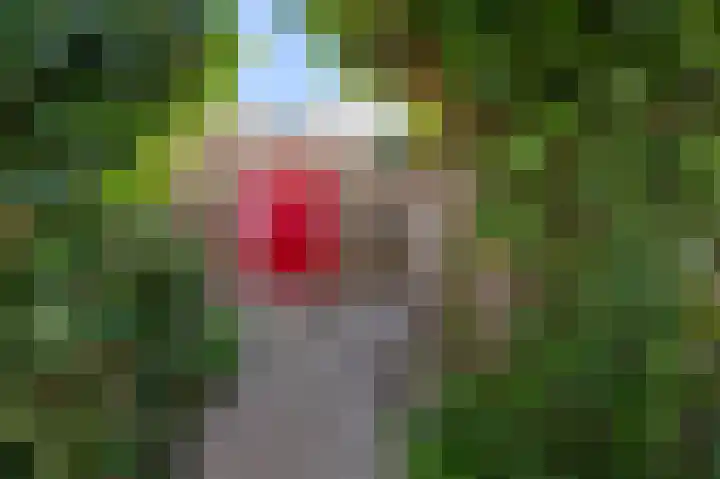 Slauerhoffstraat 1 Wormerveer thumbnail 31