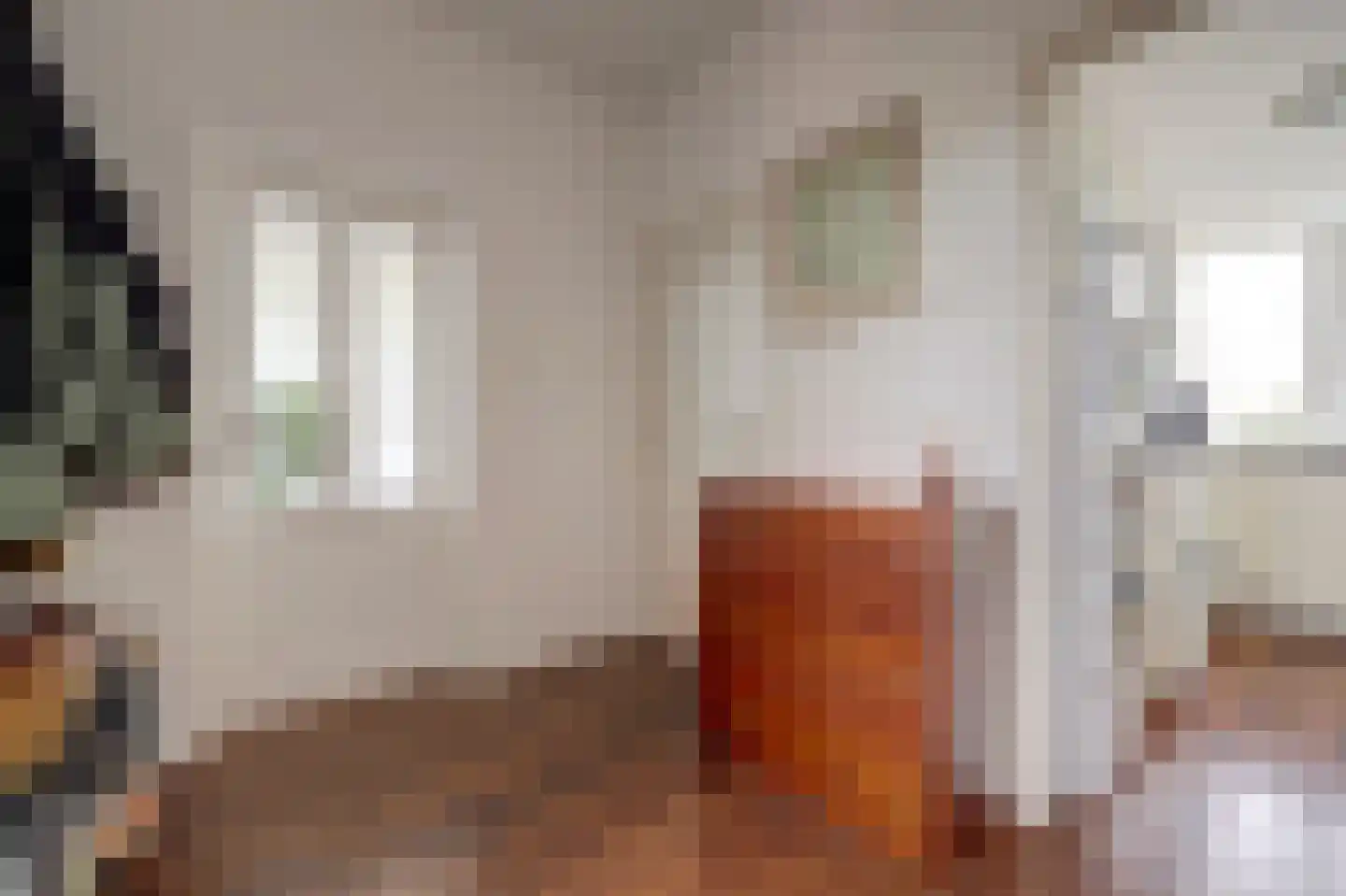 Slauerhoffstraat 15 C Spijkenisse thumbnail 8