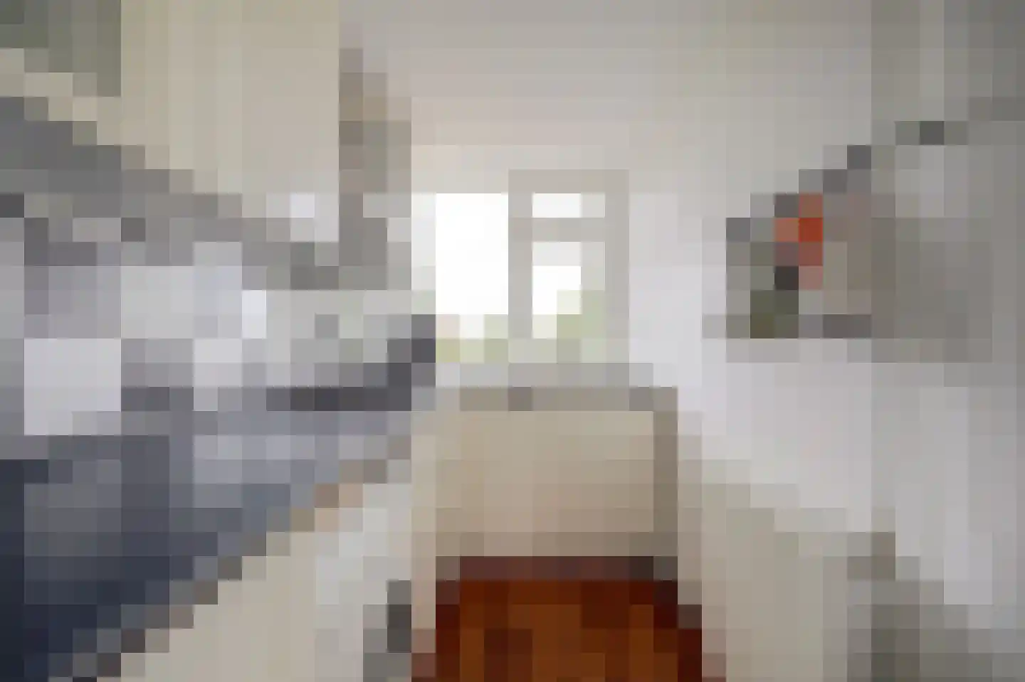 Slauerhoffstraat 15 C Spijkenisse thumbnail 9