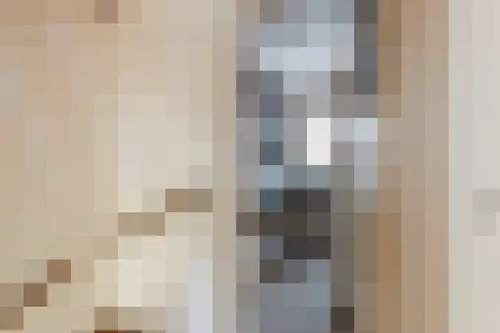 Slauerhoffstraat 15 Ridderkerk thumbnail 37