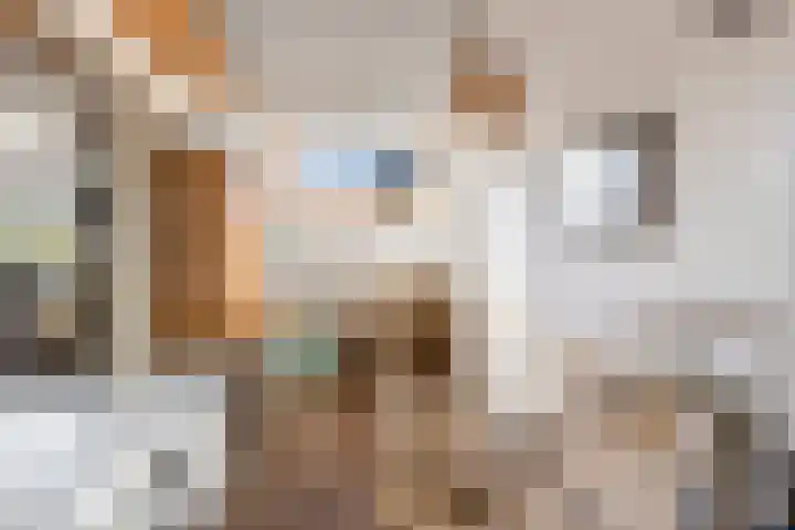 Slauerhoffstraat 15 Ridderkerk thumbnail 40