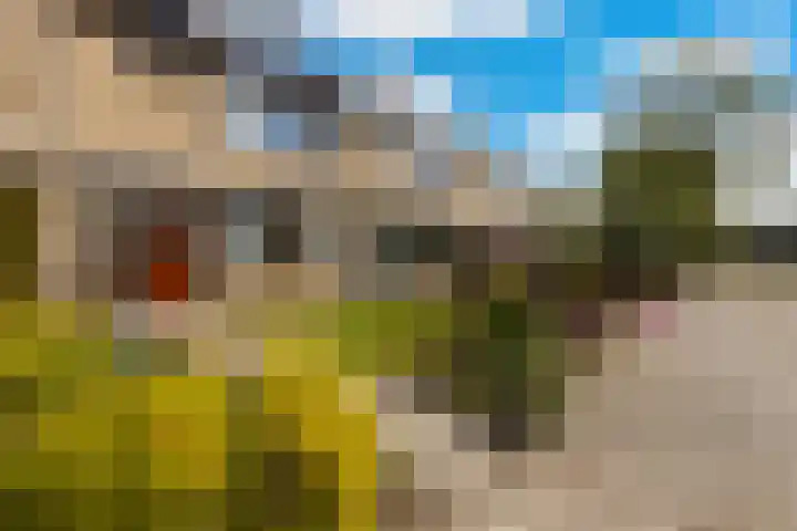 Slauerhoffstraat 15 Ridderkerk thumbnail 5