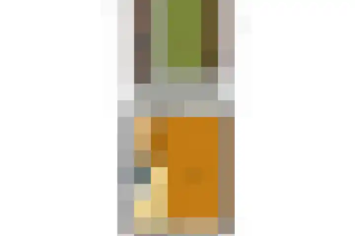 Slauerhoffstraat 15 Ridderkerk thumbnail 51