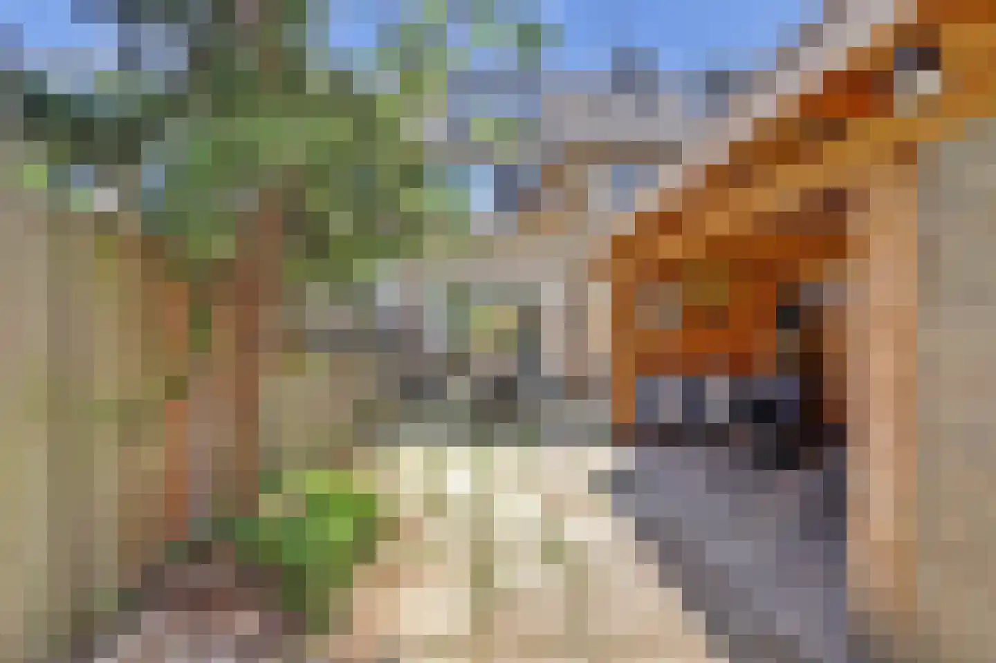 Slauerhoffstraat 18 Ridderkerk thumbnail 31