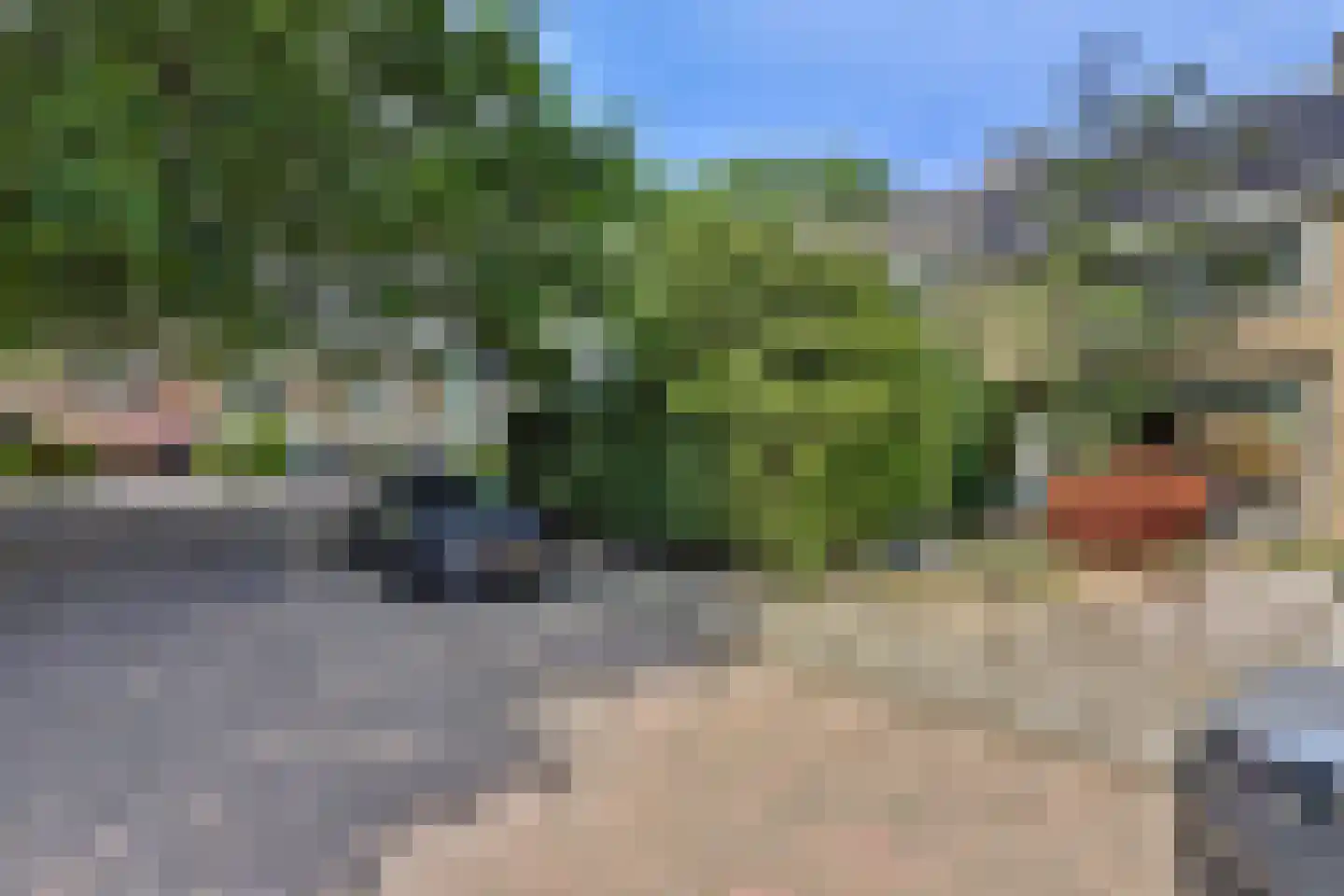 Slauerhoffstraat 18 Ridderkerk thumbnail 4