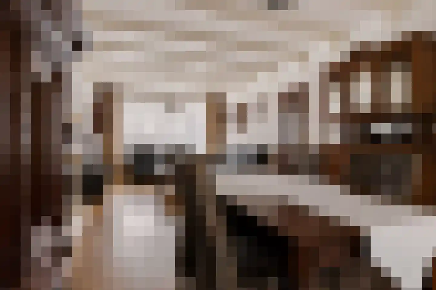 Slauerhoffstraat 22 Rosmalen thumbnail 17