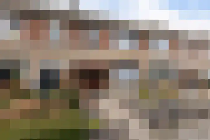 Slauerhoffstraat 22 Rosmalen thumbnail 41