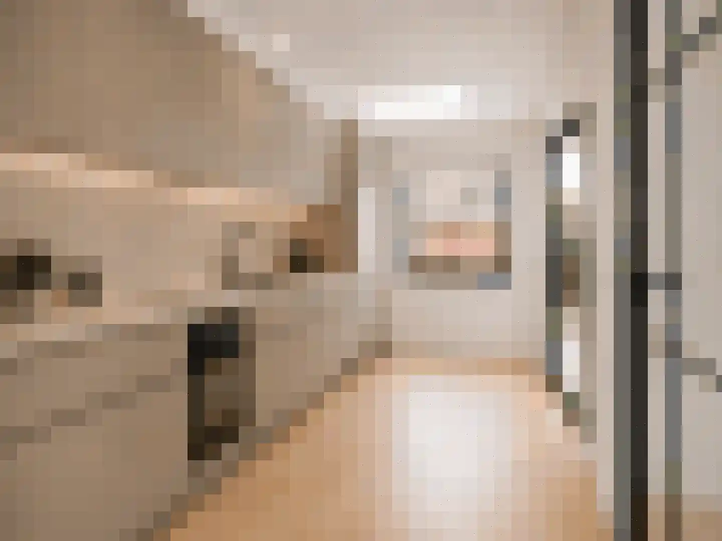 Slauerhoffstraat 22 Rosmalen thumbnail 6