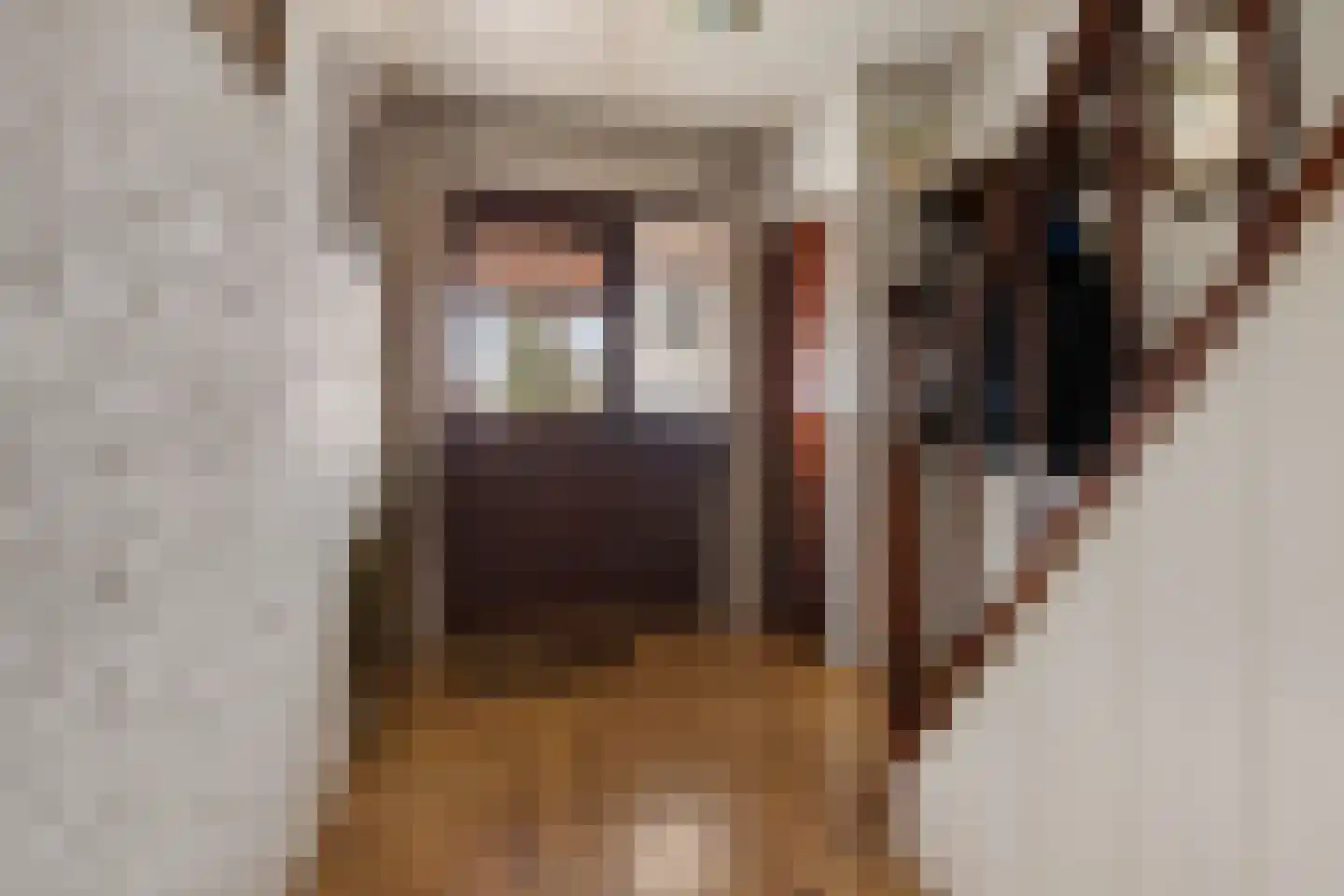 Slauerhoffstraat 22 Rosmalen thumbnail 6