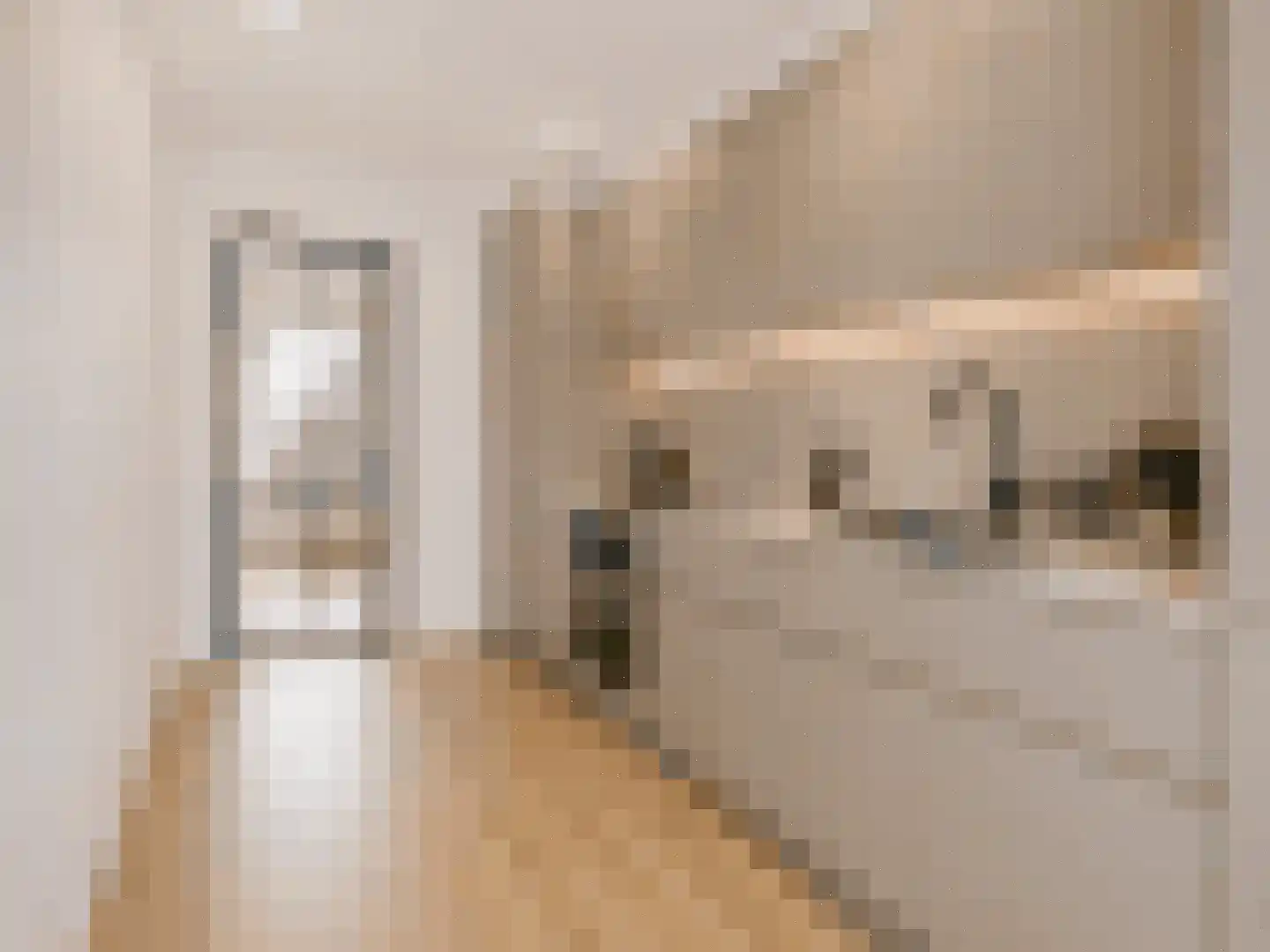 Slauerhoffstraat 22 Rosmalen thumbnail 7