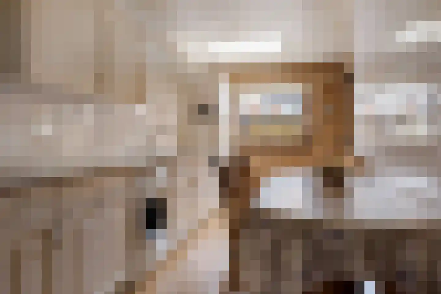 Slauerhoffstraat 22 Rosmalen thumbnail 7