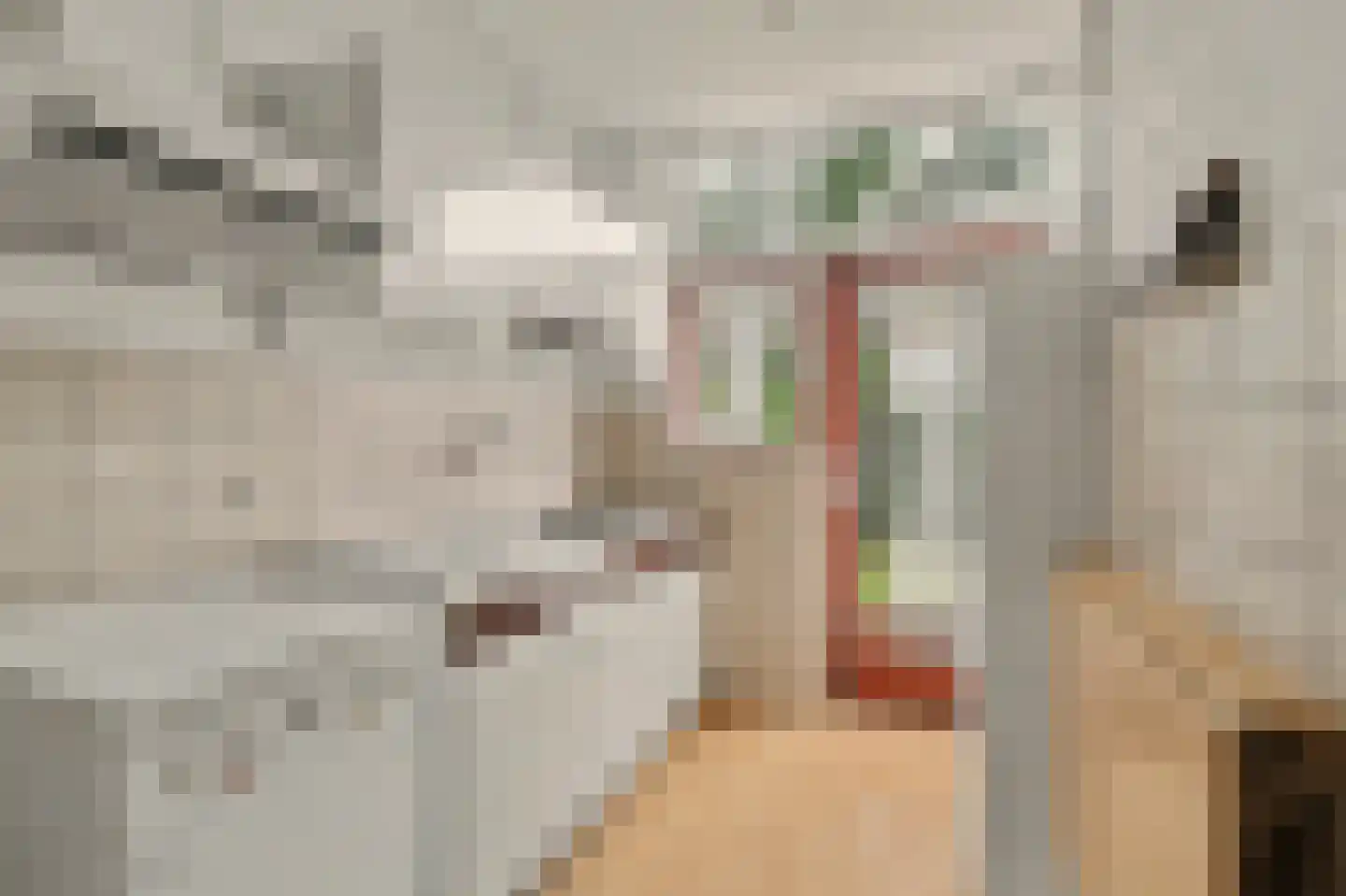 Slauerhoffstraat 27 Dordrecht thumbnail 5
