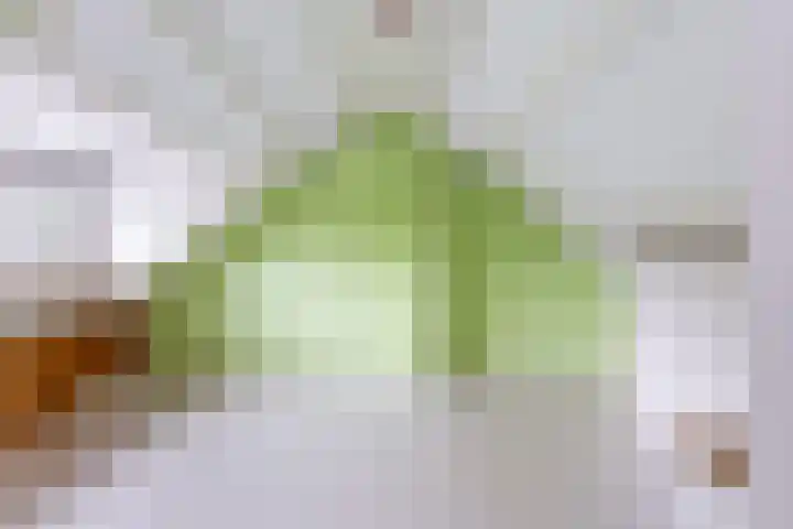Slauerhoffstraat 37 Ridderkerk thumbnail 34