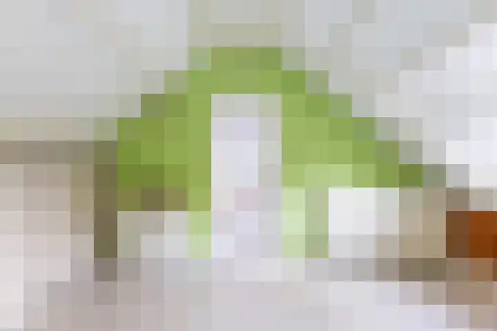 Slauerhoffstraat 37 Ridderkerk thumbnail 37