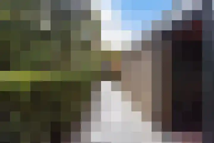 Slauerhoffstraat 37 Ridderkerk thumbnail 42