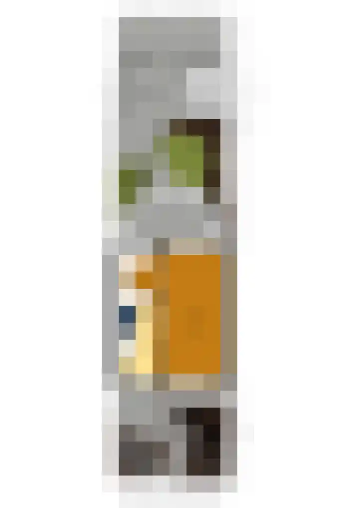 Slauerhoffstraat 37 Ridderkerk thumbnail 47