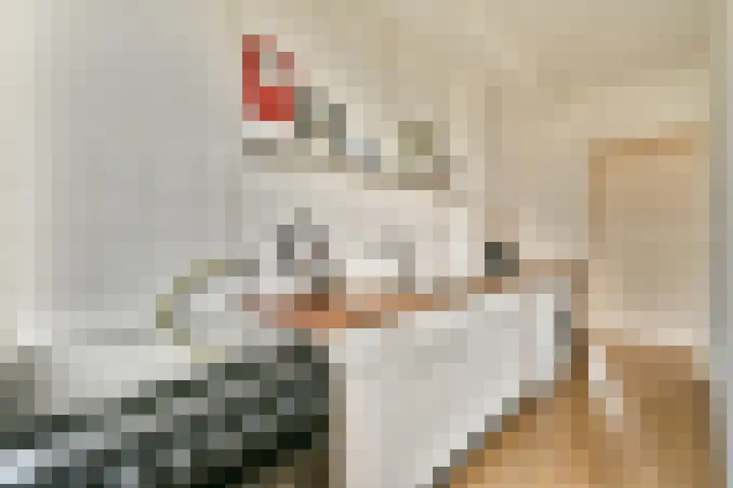 Slauerhoffstraat 44 3 Amsterdam thumbnail 9