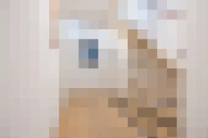 Slauerhoffstraat 5 Oud-Beijerland thumbnail 19