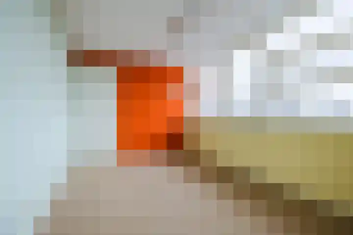 Slauerhoffstraat 5 Oud-Beijerland thumbnail 21