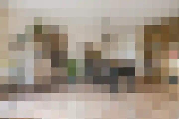 Slauerhoffstraat 5 Oud-Beijerland thumbnail 6