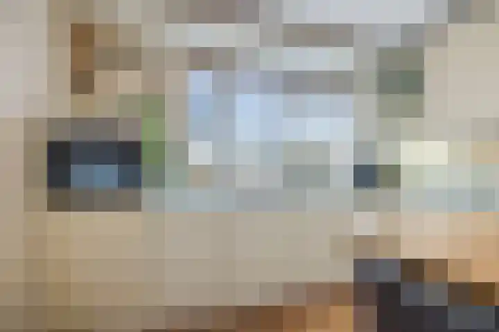 Slauerhoffstraat 5 Oud-Beijerland thumbnail 8