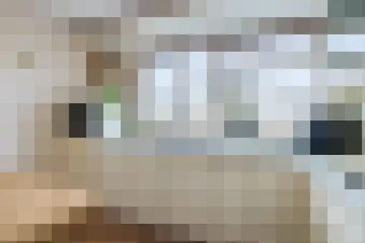 Slauerhoffstraat 5 Oud-Beijerland thumbnail 9