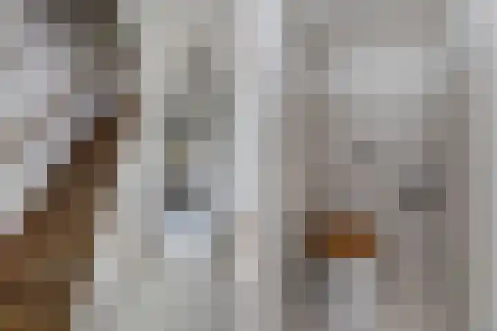 Slauerhoffstraat 6 Zwijndrecht thumbnail 5