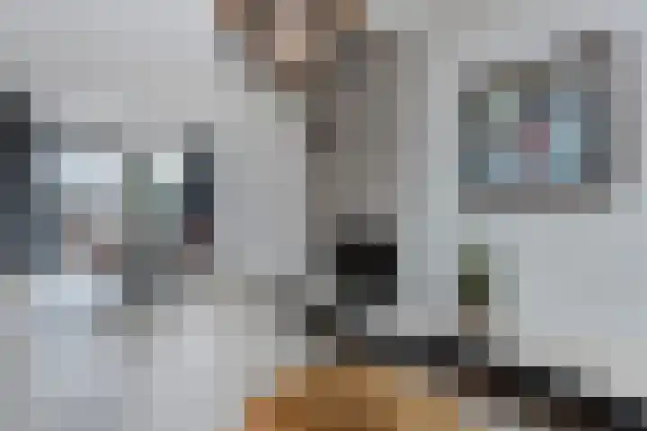 Slauerhoffstraat 6 Zwijndrecht thumbnail 9