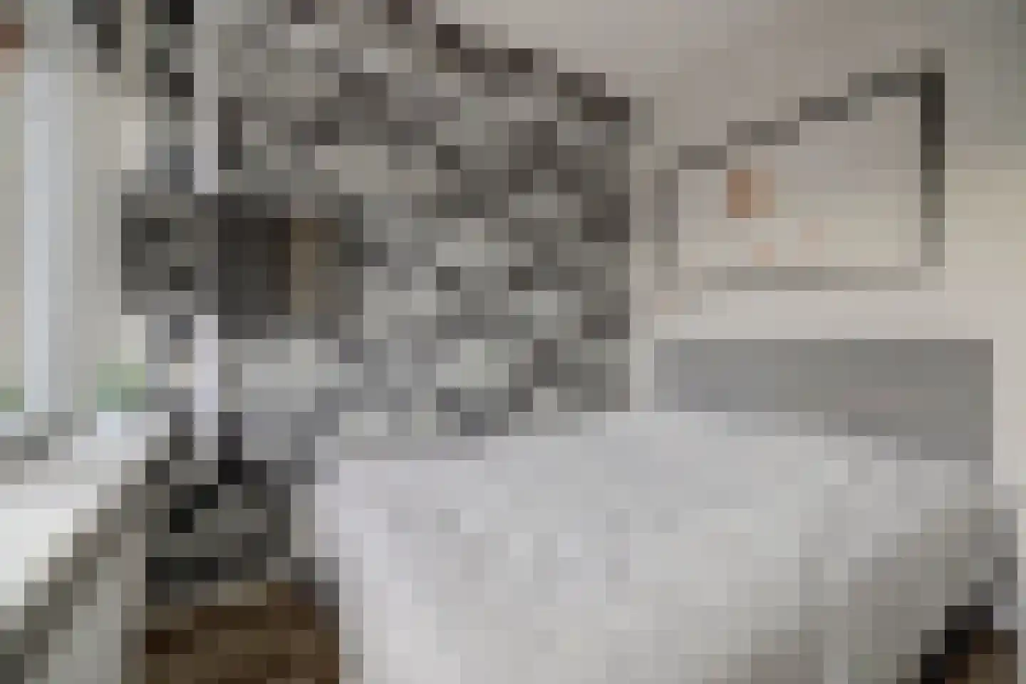 Slauerhoffstraat 9 C Spijkenisse thumbnail 13