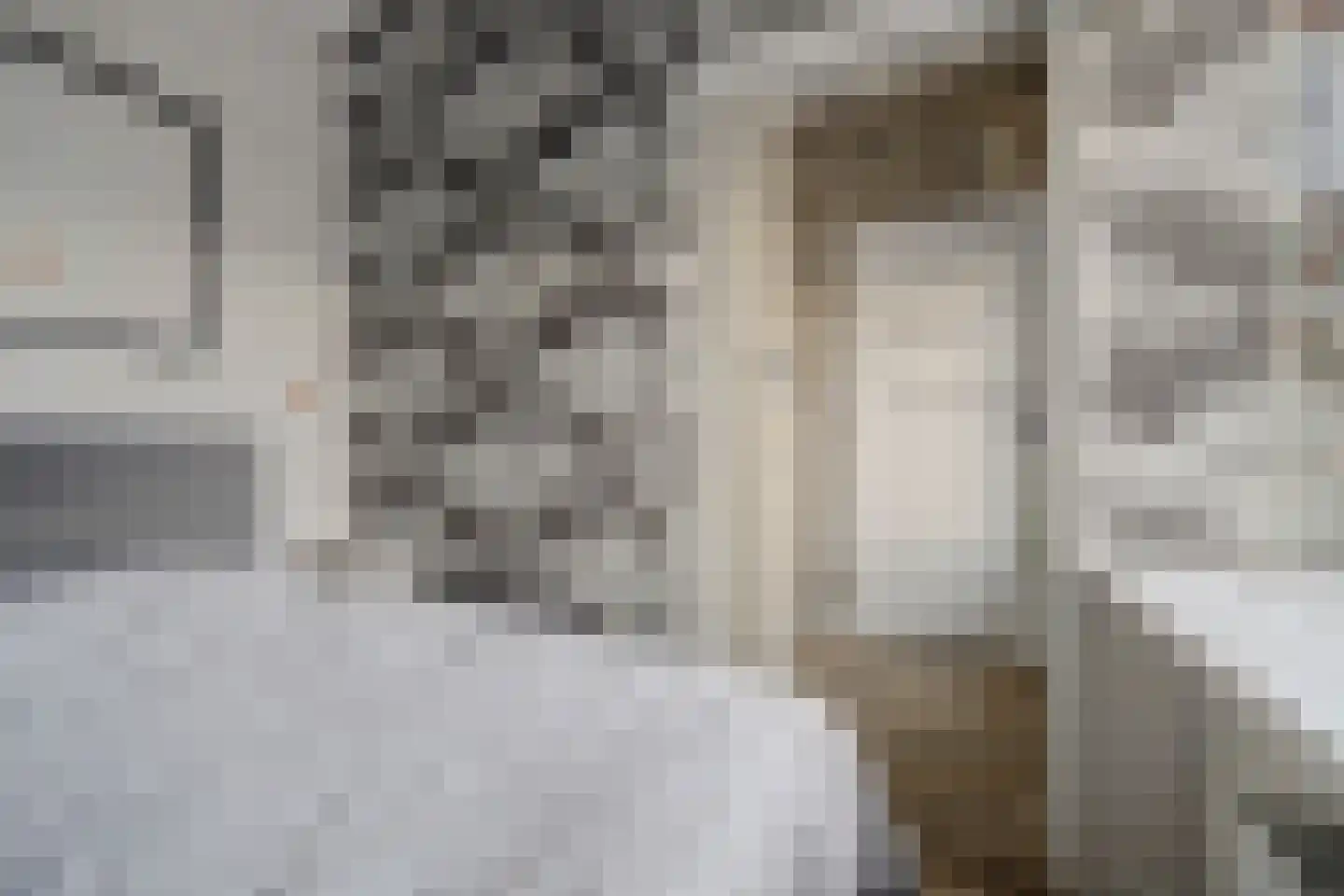 Slauerhoffstraat 9 C Spijkenisse thumbnail 14