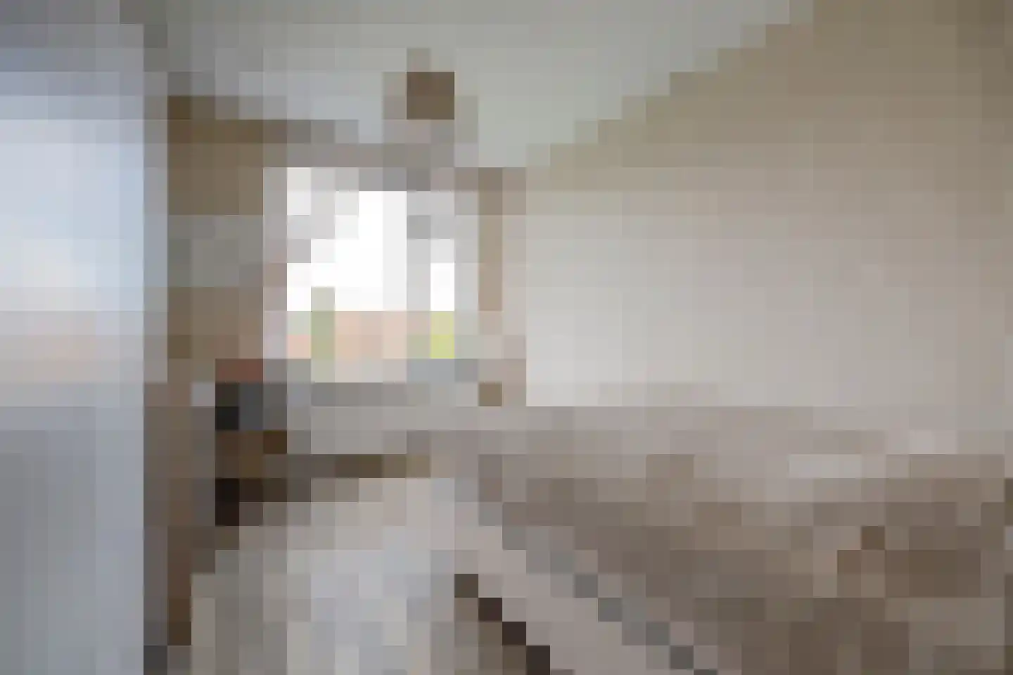 Slauerhoffstraat 9 C Spijkenisse thumbnail 15