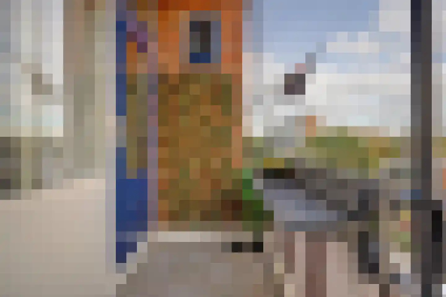 Slauerhoffstraat 9 C Spijkenisse thumbnail 22