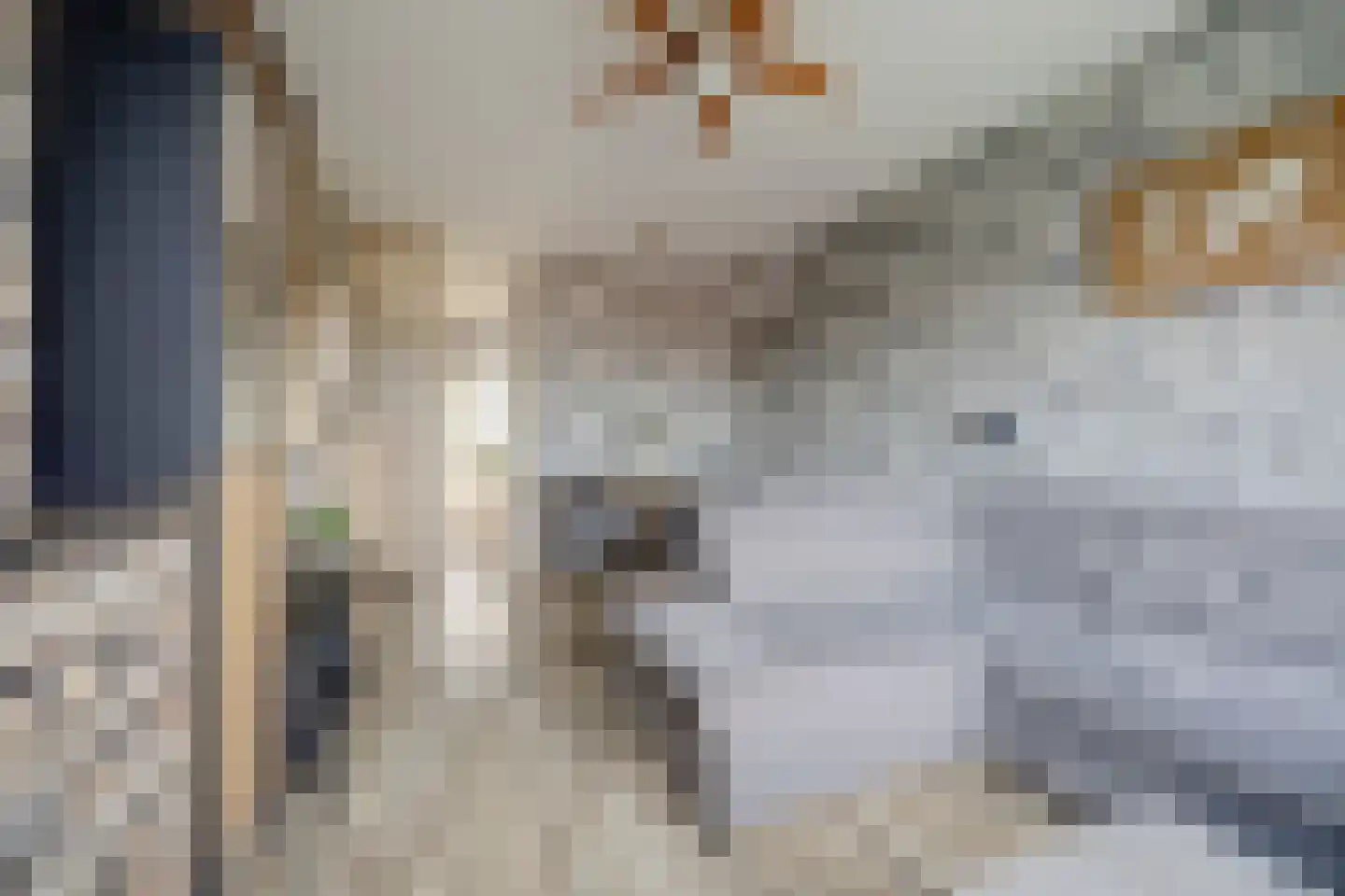 Slauerhoffstraat 9 C Spijkenisse thumbnail 5