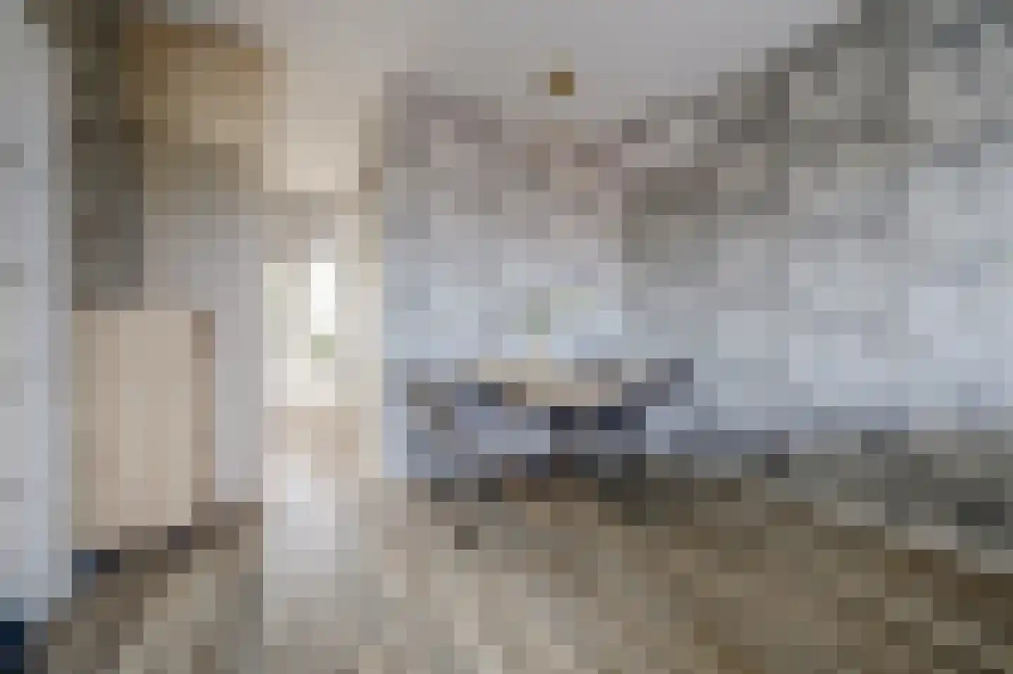 Slauerhoffstraat 9 C Spijkenisse thumbnail 6
