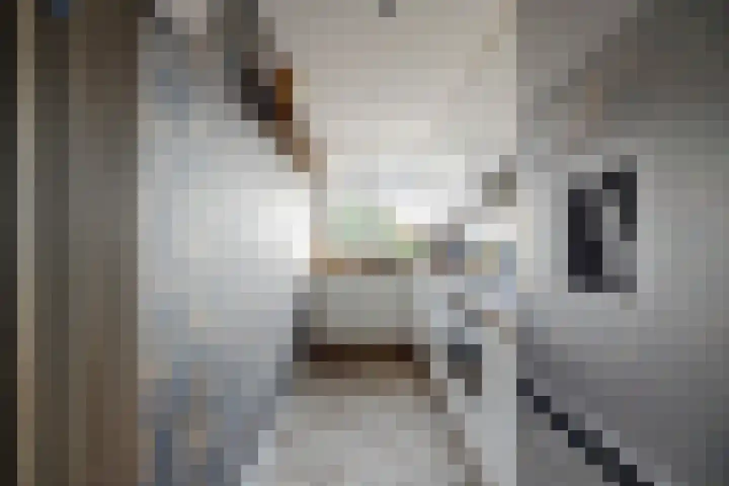 Slauerhoffstraat 9 C Spijkenisse thumbnail 7