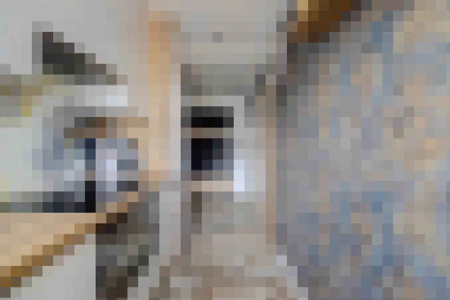Slauerhoffstraat 9 C Spijkenisse thumbnail 8