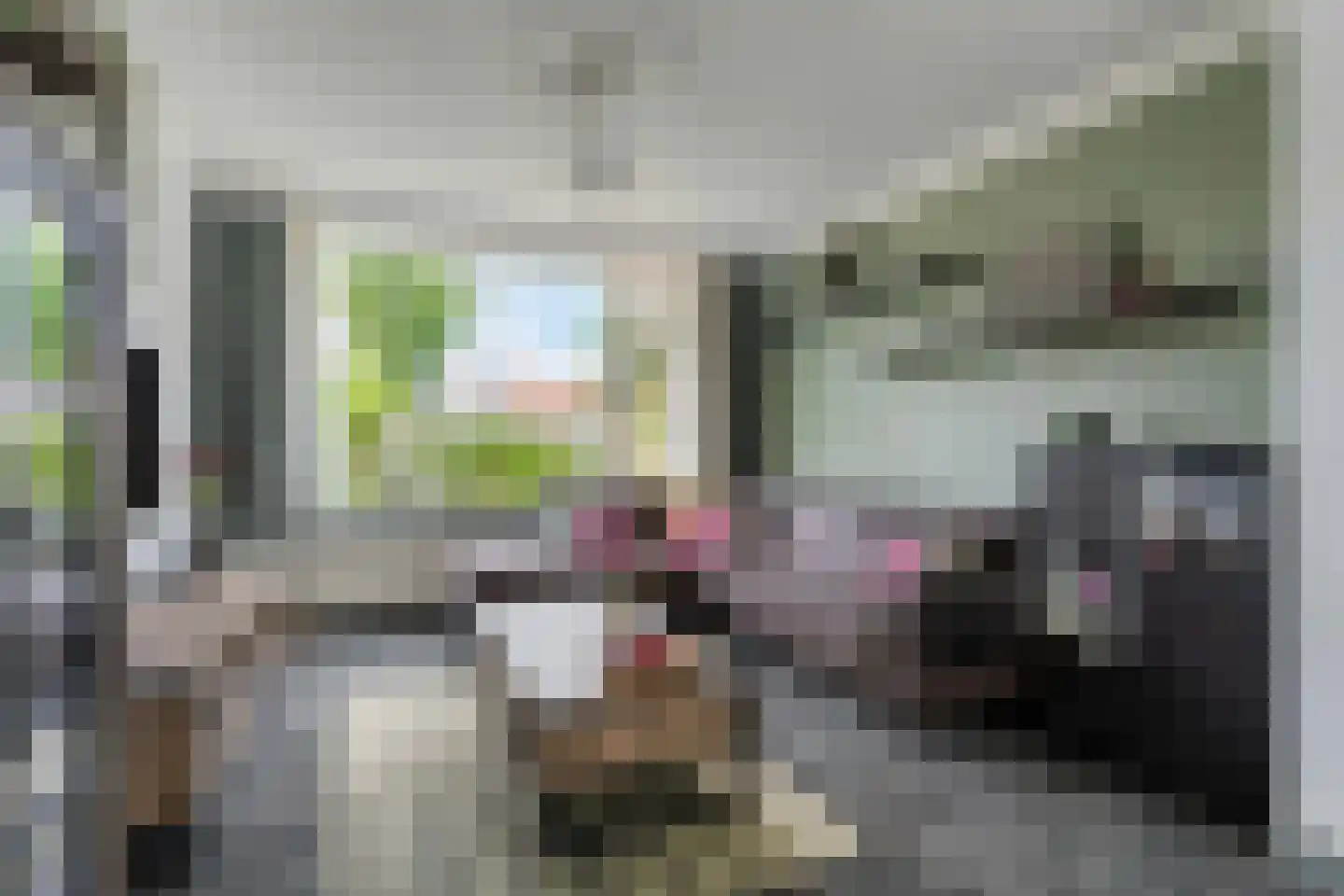 Slauerhoffstraat 9 Dordrecht thumbnail 4