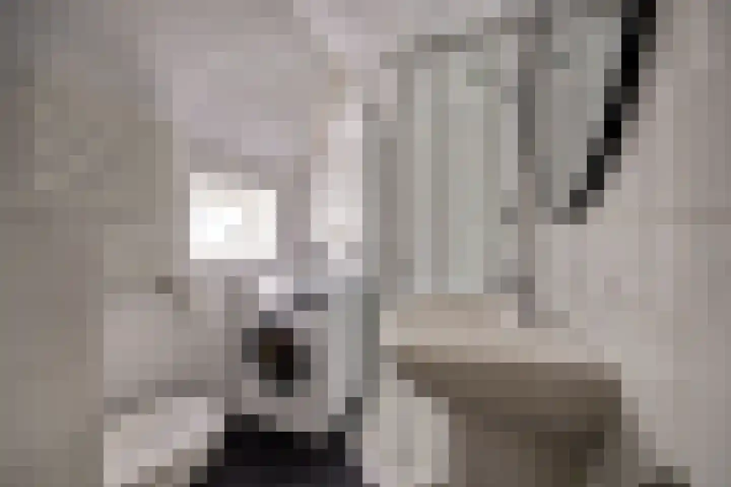 Sleatemar 15 Balk thumbnail 17