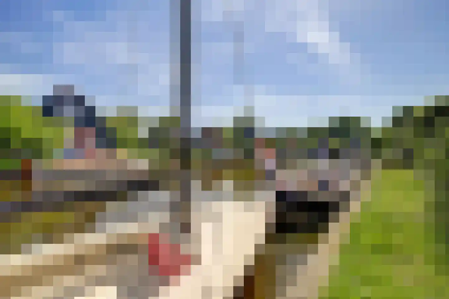 Sleatemar 15 Balk thumbnail 5