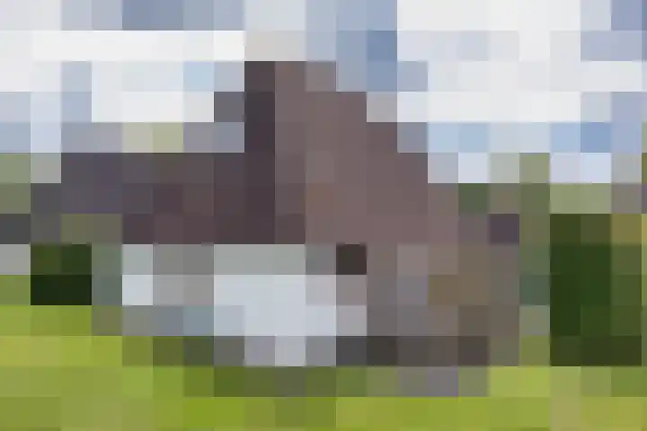 Sleatemar 64 Balk thumbnail 13