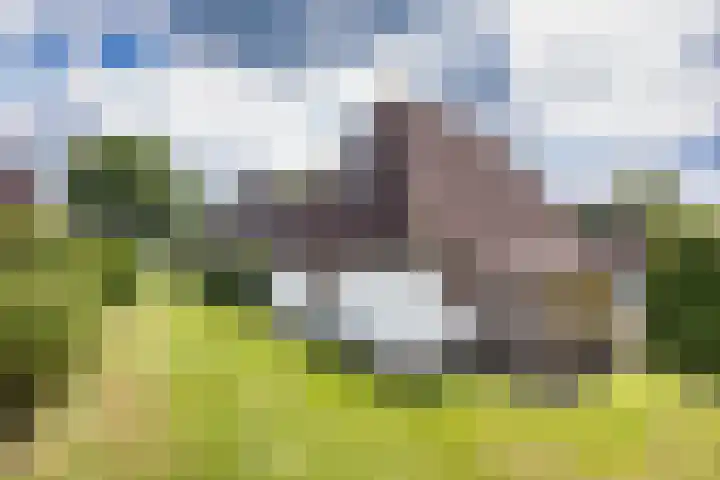 Sleatemar 64 Balk thumbnail 14