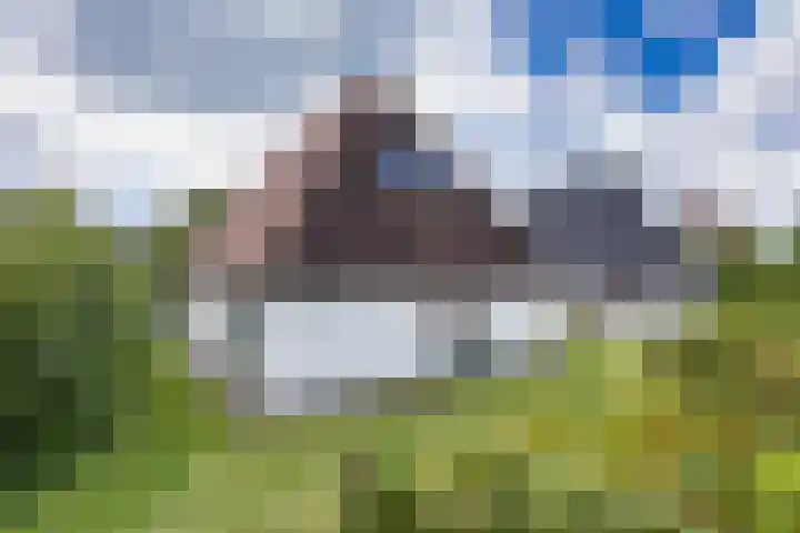 Sleatemar 64 Balk thumbnail 15
