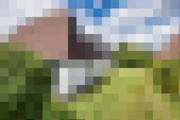 Sleatemar 64 Balk thumbnail 16