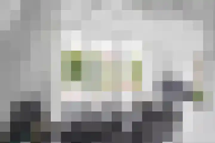 Sleatemar 64 Balk thumbnail 18