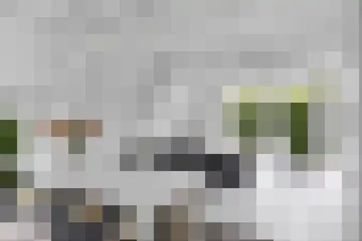 Sleatemar 64 Balk thumbnail 22