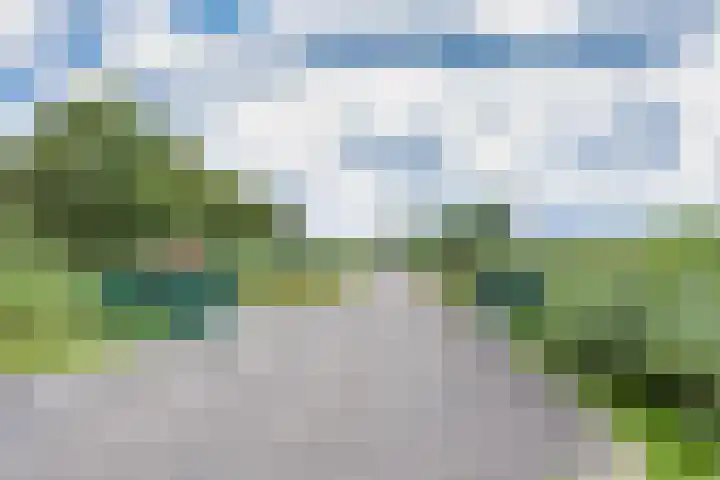 Sleatemar 64 Balk thumbnail 35