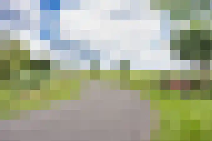 Sleatemar 64 Balk thumbnail 36