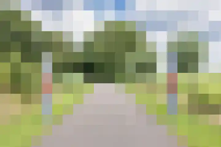 Sleatemar 64 Balk thumbnail 37