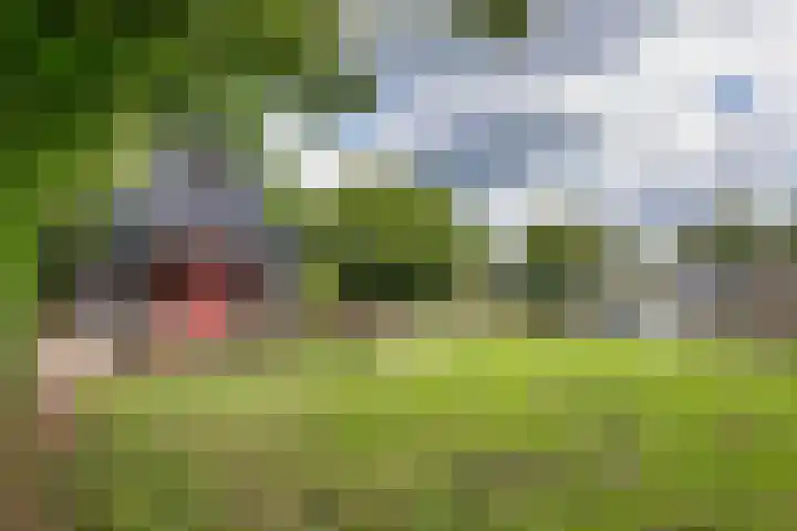 Sleatemar 64 Balk thumbnail 38
