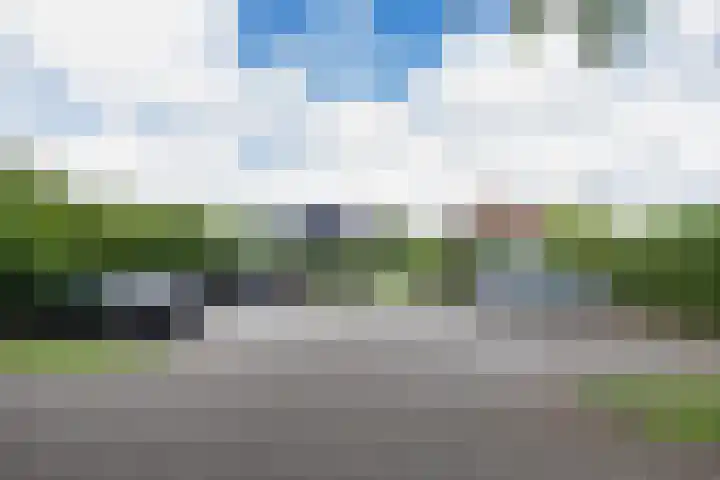 Sleatemar 64 Balk thumbnail 39